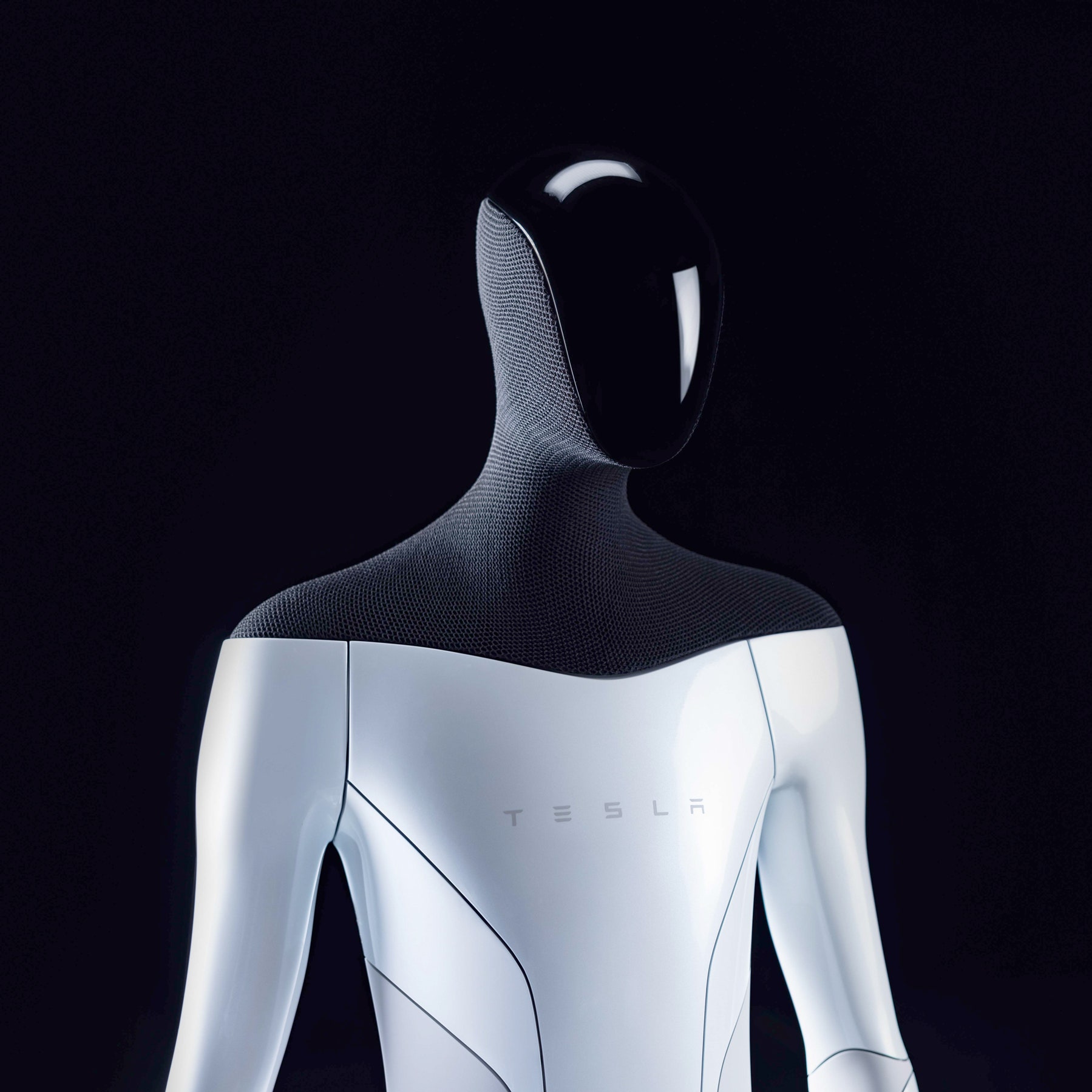 tesla bot